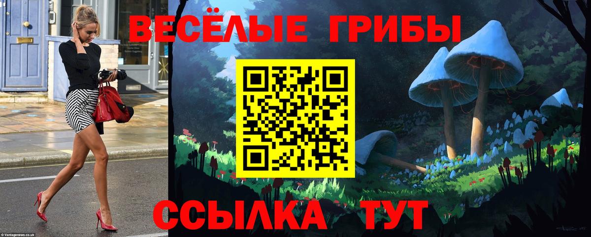 Псилоцибиновые грибы Cubensis  Галлюциногенные грибы прущие грибы  Мыски  Вход с VPN 